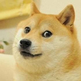 Profile Picture of Andy Burdge (@burdgeboy2005) on Pinterest