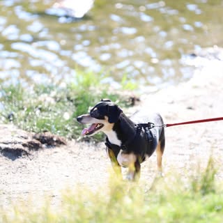 Sehwa Jang - Instagram Profile Picture of Sehwa Jang (@edwin_jang) on Instagram