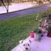 Profile Picture of Janet Haney (@janet.haney.98096) on Facebook