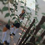 Profile Picture of Gisel Rivera (@rivera.gisel09) on Instagram