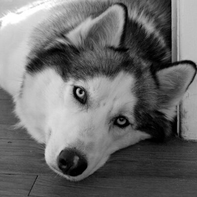 Profile Picture of Kenner Karol (@kar2_ken) on Twitter