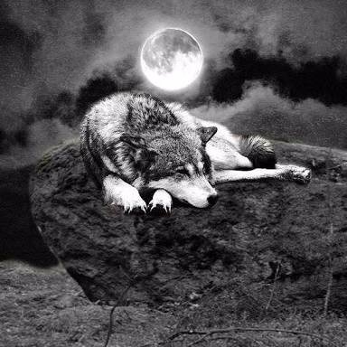 Wolfgang Paul - Twitter Profile Picture of Wolfgang Paul (@WolfgangPaul10) on Twitter