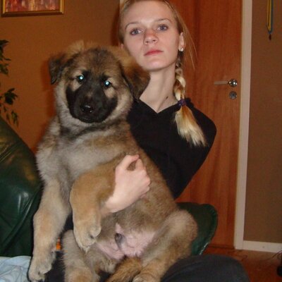 Profile Picture of Ninja Anderstedt (@Ninjaa) on Twitter