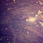 Profile Picture of follow us 💓 ! (@ilikecookiesandidrinkliquids_) on Instagram