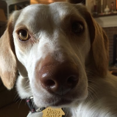 Profile Picture of Terry Chatfield (@enanmac) on Twitter