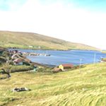 Profile Picture of Gillian Cook (@raggedquilts) on Instagram