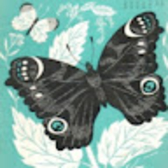 Profile Picture of Sarah Hillesheim (@sarahhillesh162) on Poshmark