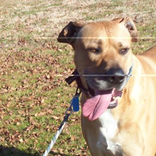 Profile Picture of Emmett Abraham (@emmett.abraham.79) on Facebook