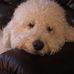 Profile Picture of Debbie Trout (@debra.trout) on Facebook