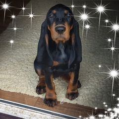 Profile Picture of carlypriestman (@carlypriestman) on Tiktok