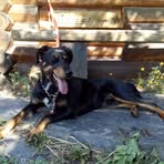 HansJuergen Graebner - Facebook Profile Picture of HansJuergen Graebner (@Hans-Juergen-Graebner) on Facebook