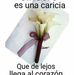 Profile Picture of Cande Transito (@cande.transito.5) on Facebook