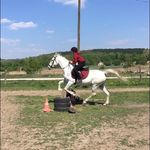 Profile Picture of Bianka Boros (@b_bianka_a) on Instagram