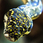 Profile Picture of heymarkolsen (@heymarkolsen) on Flickr