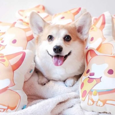 Profile Picture of Scarlette Mosby (@MosbyScarlette) on Twitter