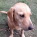Profile Picture of Dixie Palmer (@dixie.formigoni) on Facebook