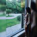 Profile Picture of Sadia Syed (@sadia.syed.7311) on Facebook