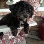 Profile Picture of Debbie Plamondon (@plamondondebbie) on Instagram