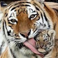 Profile Picture of Tim Simmonds (@tim-simmonds-12) on Quora