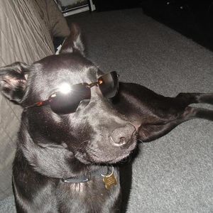 Profile Picture of Jason Mendez (@jmenz2007) on Myspace