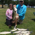 Profile Picture of David Riggs (@ff_david_riggs) on Instagram