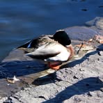 Profile Picture of Dakota Trach (@dakota.trach) on Facebook