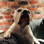 Profile Picture of Andy Hulse (@andy.hulse.84) on Instagram