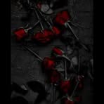 Profile Picture of Yolanda Arana (@Yolanda-Arana) on Facebook