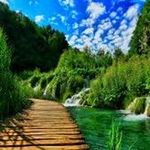 Profile Picture of James Nickel (@photoonerec) on Instagram