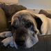 Profile Picture of David Allman (@david.allman.35) on Facebook