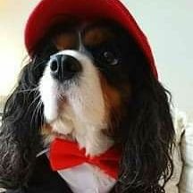 Profile Picture of Georgia (@CynthiaProctor) on Twitter