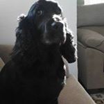 Profile Picture of Heriberto Suárez Suárez (@heribertosuarezsuarez) on Instagram