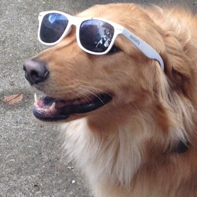 Profile Picture of Matt Guarnieri (@MattG_54) on Twitter