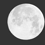 Profile Picture of Alejo Avellaneda (@alejandro_avellaneda) on Instagram