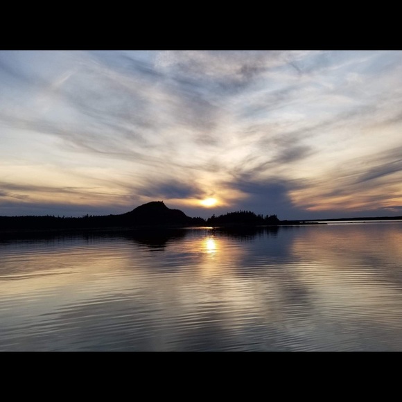 Profile Picture of Alice Rogers (@arlar23) on Poshmark