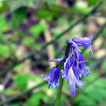 Profile Picture of Emily James (@emilyjames377) on Flickr