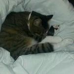 Profile Picture of Robert Spicer (@spicer.robert) on Instagram