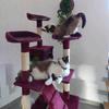 Profile Picture of lallie andrzejewski lohez (@andrzejewski.la) on Tiktok
