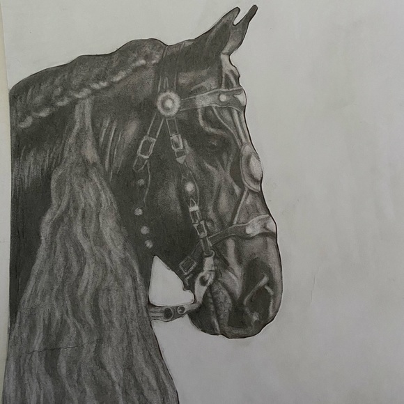 Profile Picture of Stefanie Helbig (@hellbanger) on Poshmark