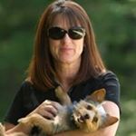 Profile Picture of Sandy Phillips (@delmarvaunleashed) on Instagram