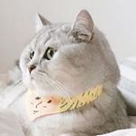 Profile Picture of 삼초네 (@hongsaami) on Instagram