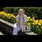 Profile Picture of Rebecca Morganbesser (@rebecca.morganbesser) on Facebook