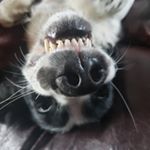 Profile Picture of MarcusAurelius (@springermarcusaurelius) on Instagram