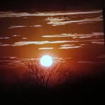 Profile Picture of Josef Jelinek (@josef.jelinek.311) on Facebook