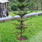 Profile Picture of Carl Rosenberg (@Carl-Rosenberg) on Facebook