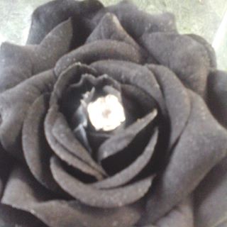 Profile Picture of Lorella Leo (@lorella.leo.3) on Facebook