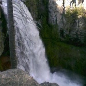 Profile Picture of Jill Fishback (@jiller1) on Myspace