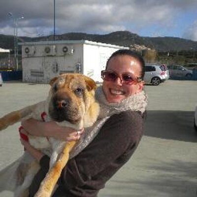 Profile Picture of Lisa Sacchetti (@LisaSacchetti) on Twitter