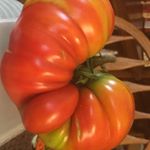 Profile Picture of Keith Gautreaux (@keithgau) on Instagram