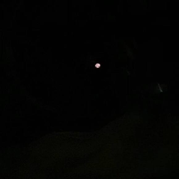 Profile Picture of Jerry Lockette (@treytheking17) on Poshmark